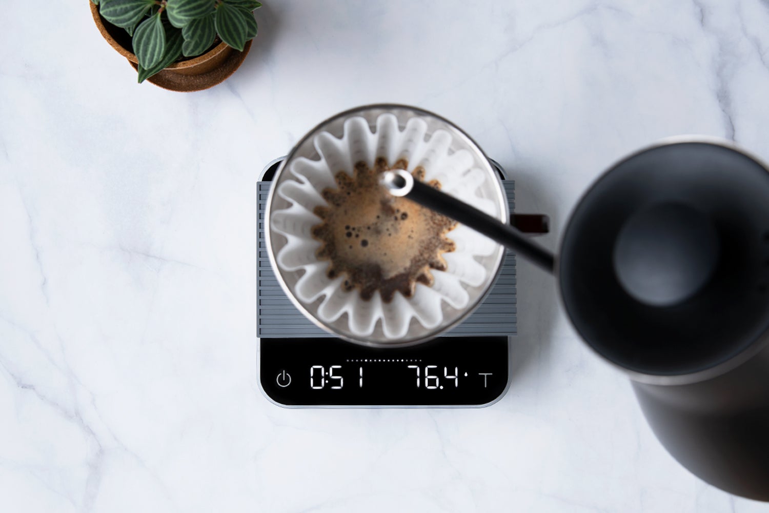 Acaia Pearl Brewing Scale — display detail